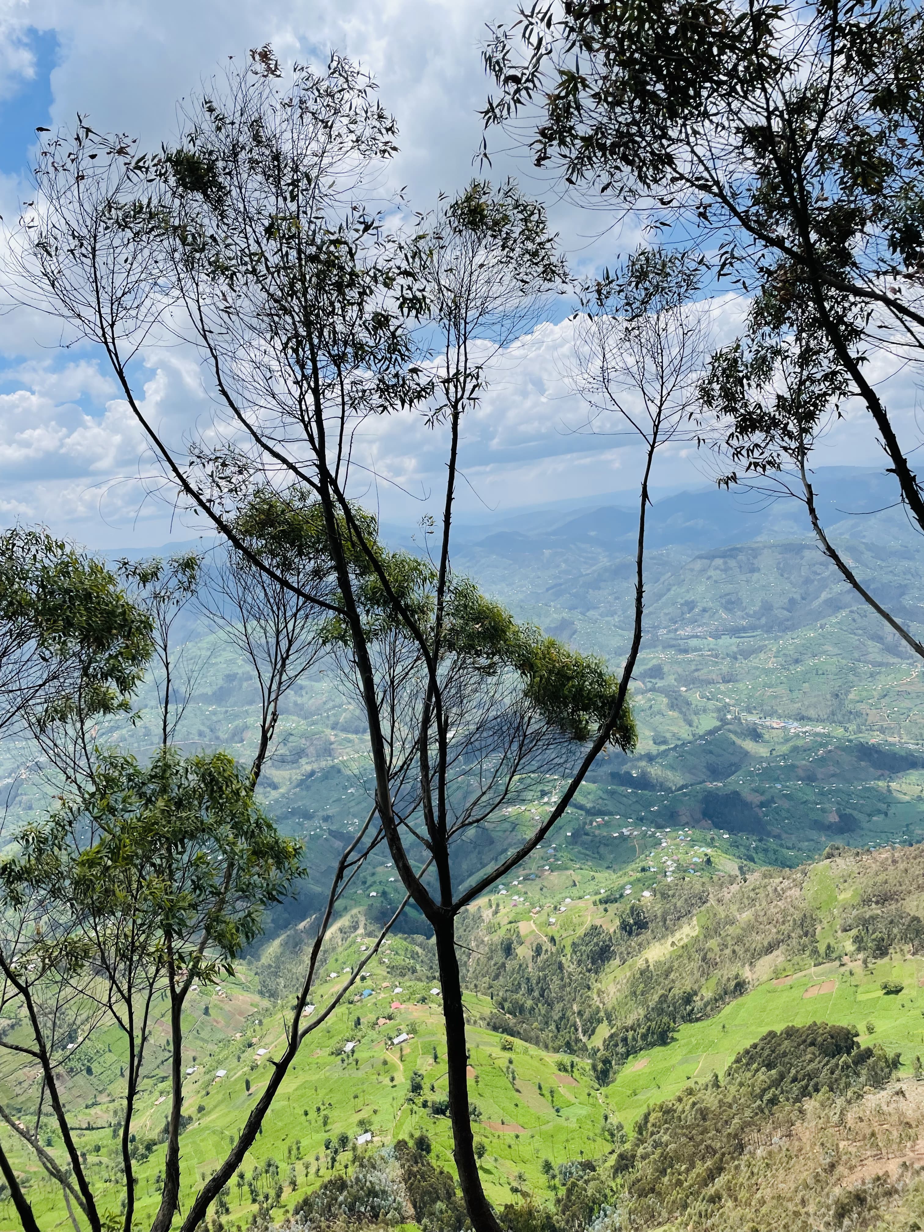 Kabuye View 2